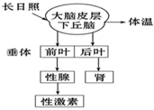 菁優(yōu)網