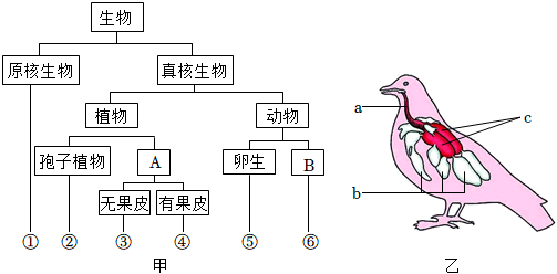 菁優(yōu)網(wǎng)