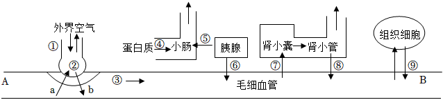 菁優(yōu)網(wǎng)