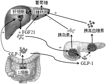 菁優(yōu)網