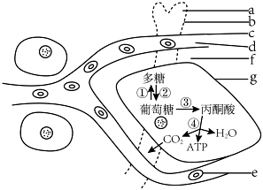 菁優(yōu)網(wǎng)