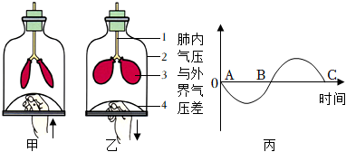 菁優(yōu)網(wǎng)