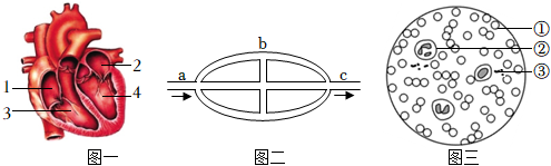 菁優(yōu)網