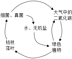 菁優(yōu)網(wǎng)