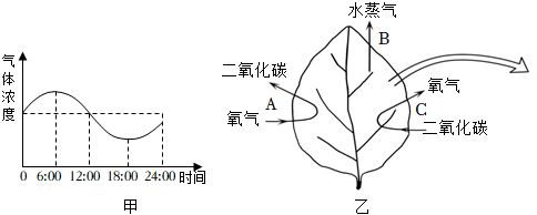 菁優(yōu)網(wǎng)