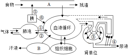 菁優(yōu)網(wǎng)