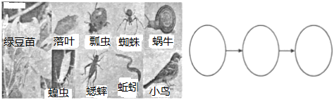 菁優(yōu)網(wǎng)