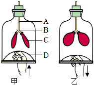 菁優(yōu)網(wǎng)