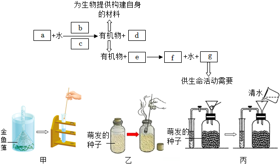 菁優(yōu)網(wǎng)