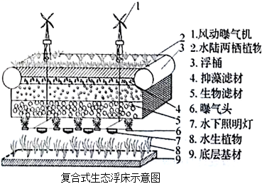 菁優(yōu)網(wǎng)