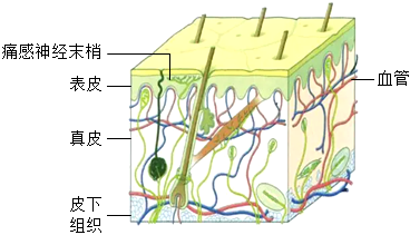 菁優(yōu)網(wǎng)