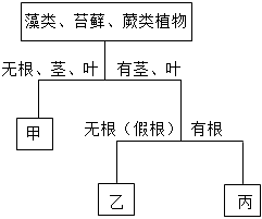 菁優(yōu)網(wǎng)