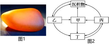 菁優(yōu)網(wǎng)