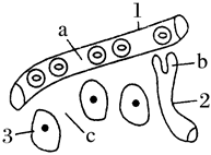 菁優(yōu)網(wǎng)