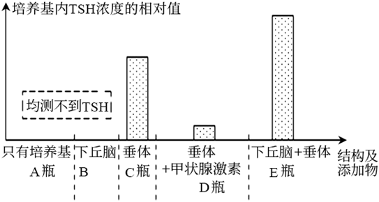 菁優(yōu)網