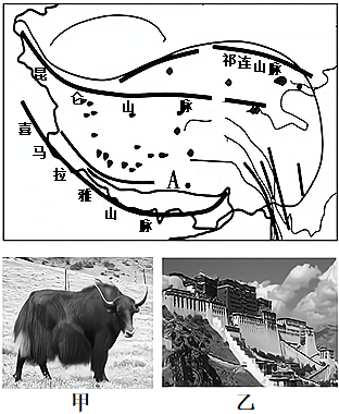 菁優(yōu)網(wǎng)