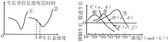 菁優(yōu)網