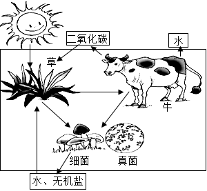 菁優(yōu)網(wǎng)