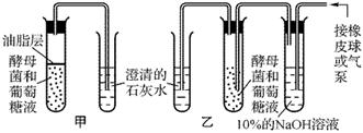 菁優(yōu)網(wǎng)