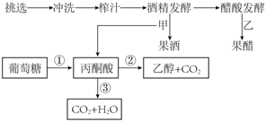 菁優(yōu)網(wǎng)