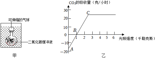 菁優(yōu)網