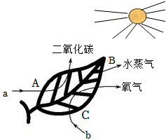 菁優(yōu)網(wǎng)