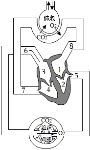 菁優(yōu)網(wǎng)