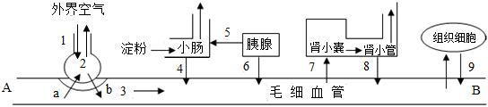 菁優(yōu)網(wǎng)