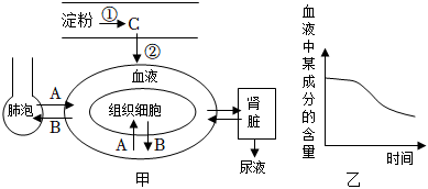 菁優(yōu)網(wǎng)