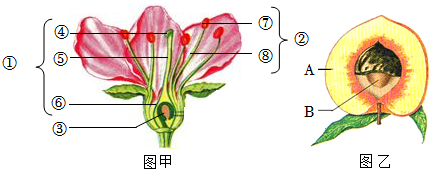 菁優(yōu)網