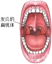 菁優(yōu)網