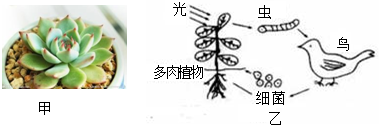 菁優(yōu)網(wǎng)