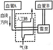 菁優(yōu)網(wǎng)