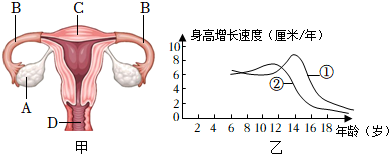 菁優(yōu)網(wǎng)