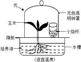 菁優(yōu)網