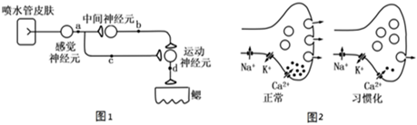 菁優(yōu)網(wǎng)