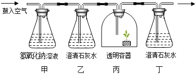 菁優(yōu)網(wǎng)