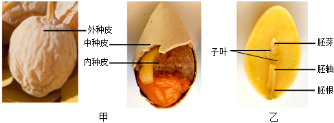 菁優(yōu)網(wǎng)