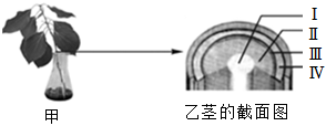 菁優(yōu)網(wǎng)