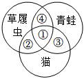 菁優(yōu)網(wǎng)