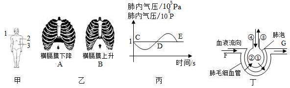 菁優(yōu)網(wǎng)