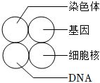 菁優(yōu)網