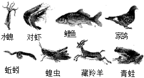 菁優(yōu)網(wǎng)