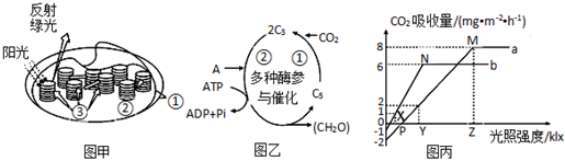 菁優(yōu)網