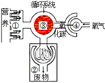 菁優(yōu)網(wǎng)