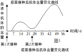 菁優(yōu)網