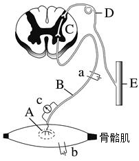 菁優(yōu)網(wǎng)