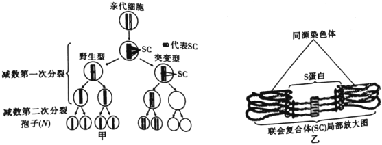 菁優(yōu)網