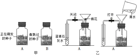 菁優(yōu)網(wǎng)