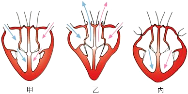 菁優(yōu)網(wǎng)